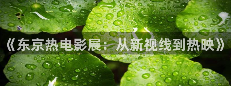 九九草莓在线视频：《东京热电影展：从新视线到热映》
