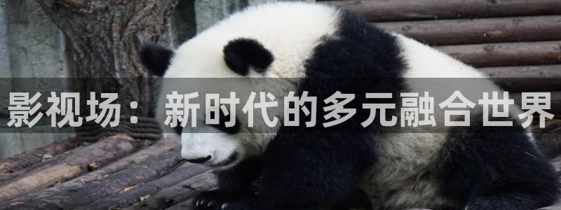 九九伦理影院：影视场：新时代的多元融合世界
