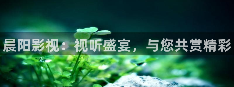 九九久久免费视频观看：晨阳影视：视听盛宴，与您共赏精彩