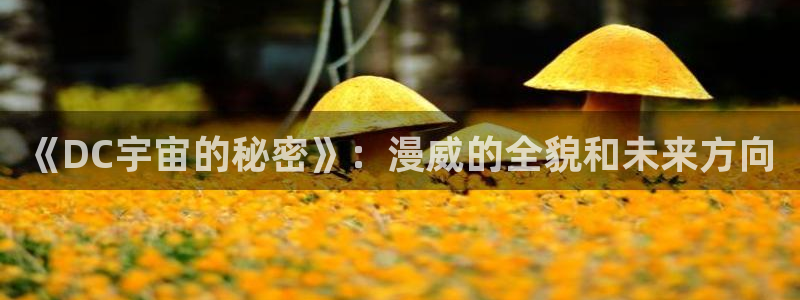 久久九九热视频：《DC宇宙的秘密》：漫威的全貌和未来方向