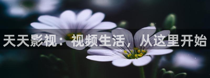 九九在线免费视频播放：天天影视：视频生活，从这里开始